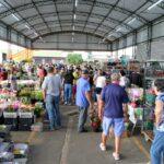 Mercado de Flores da Craisa é opção para compras do Dia das Mães