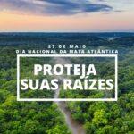 Dia nacional da Mata Atlântica, o caminho é a preservação