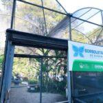 Borboletário de Diadema é passeio educativo e gratuito para curtir com a família nas férias