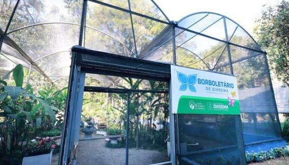 Borboletário de Diadema é passeio educativo e gratuito para curtir com a família nas férias